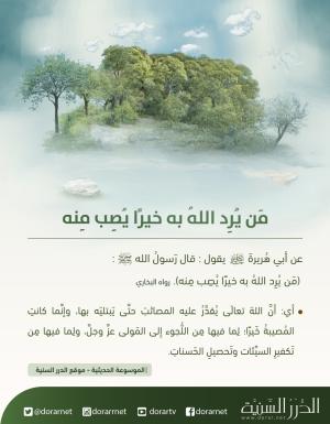 من يرد الله به خيرا..